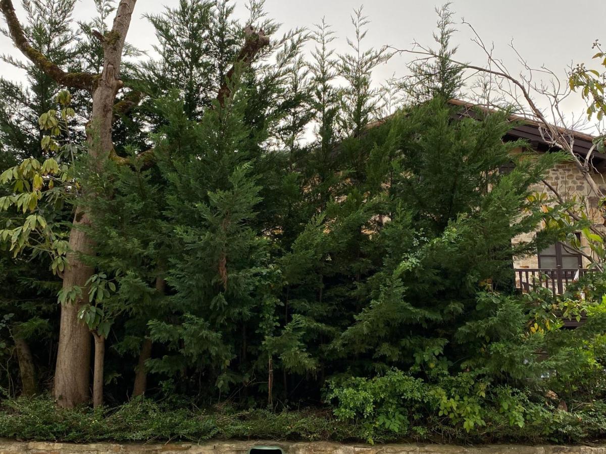 Posada Y Apartamentos Trebuesto De Guriezo Εξωτερικό φωτογραφία